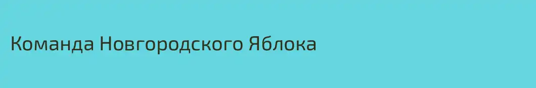 Команда Новгородского Яблока